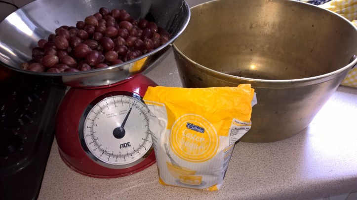 WP_20160714_13_52_20_Pro