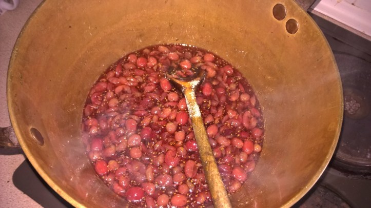 WP_20160714_14_08_07_Pro