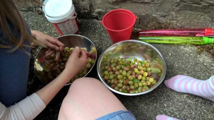 WP_20160722_13_50_38_Pro