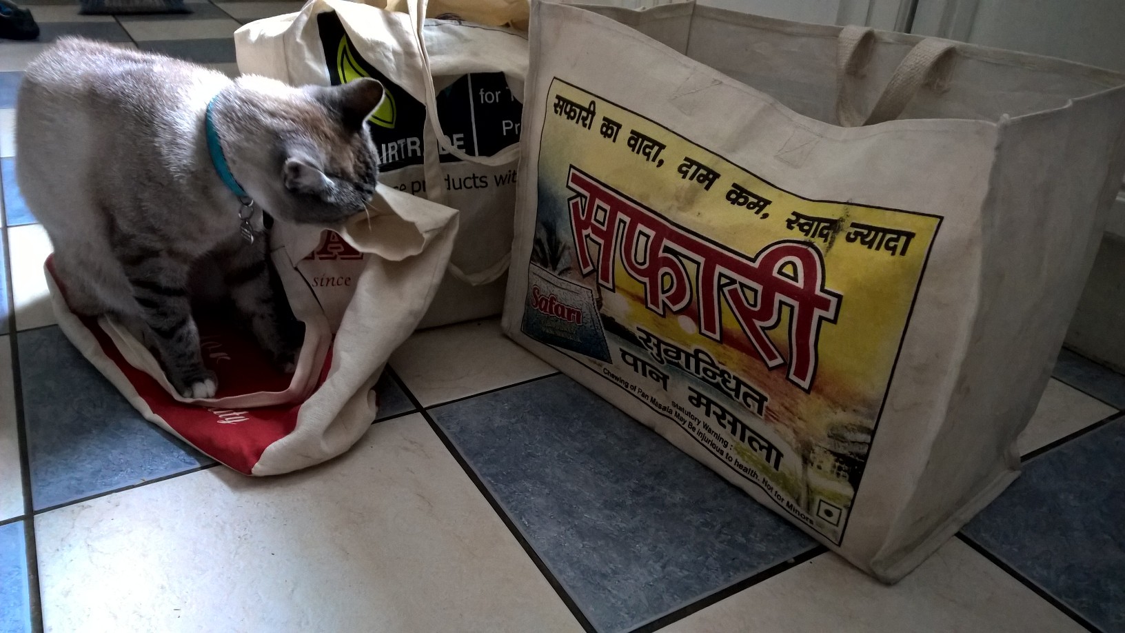 wp_20150911_10_27_19_pro