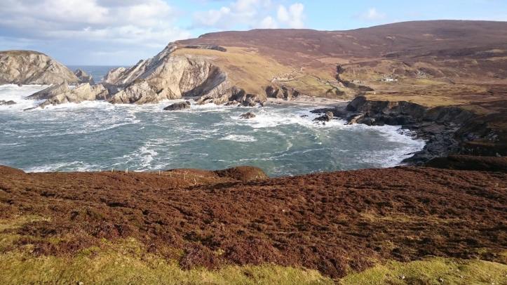 12771590_10153980391236477_5568338459216913519_o